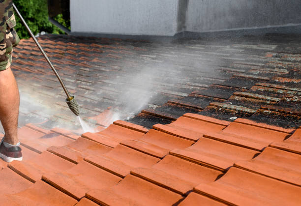 Best Local Pressure Washing Services  in Bevil Oaks, TX