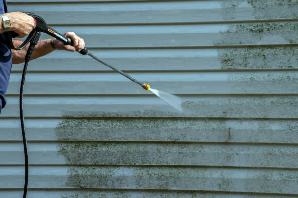 Best Roof Power Washing Services  in Bevil Oaks, TX