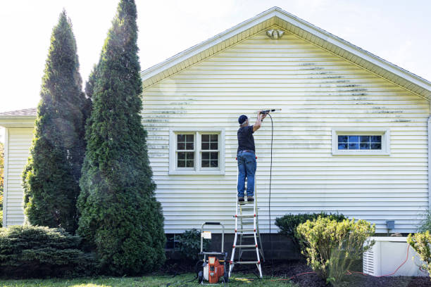 Best Affordable Power Washing  in Bevil Oaks, TX